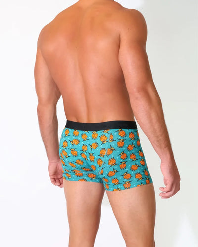 Eco Chic MENS Bamboo Boxers - Highland Cow - Teal