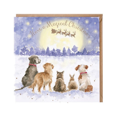 'The Magic of Christmas' Dog & Cat Christmas Card - Wrendale Designs