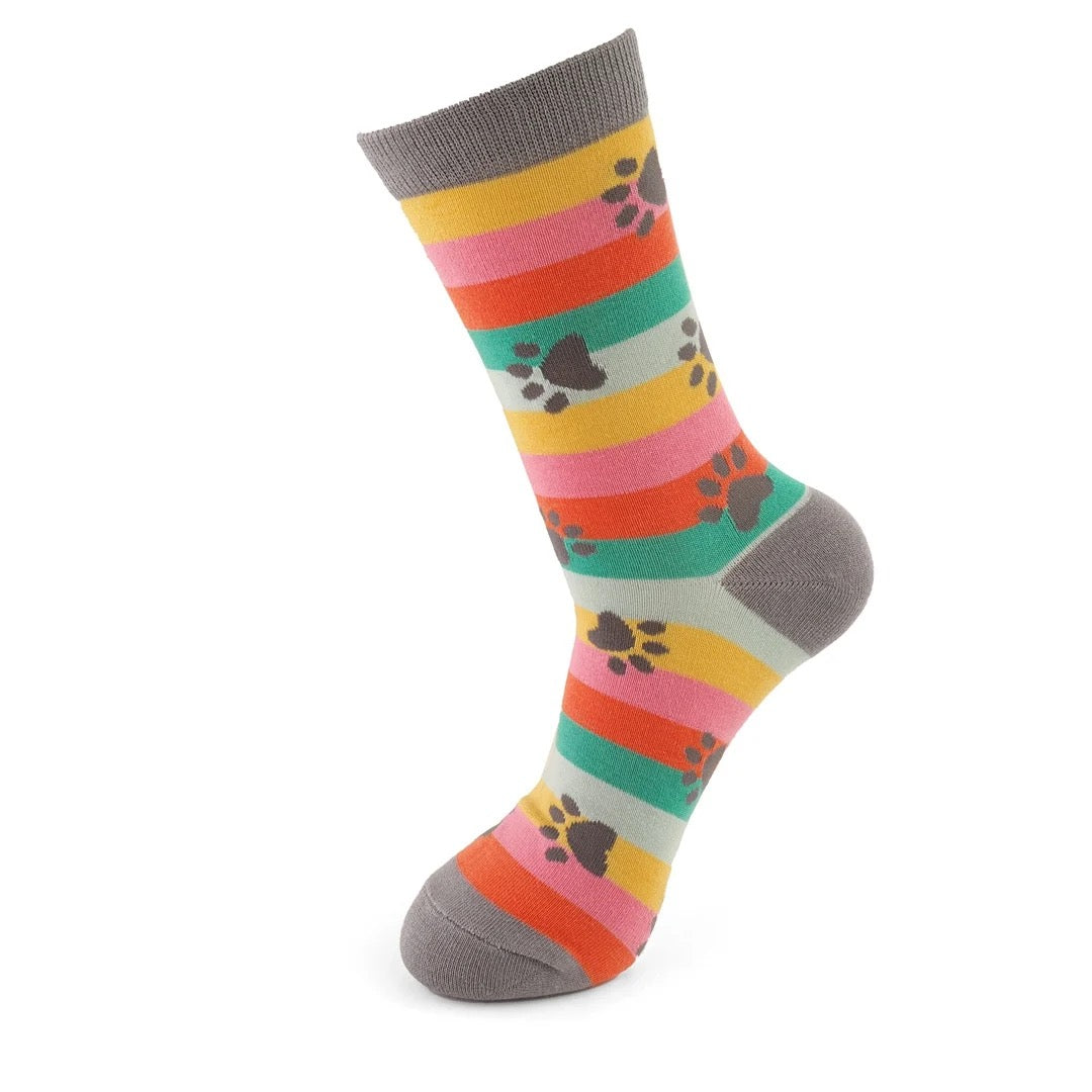 Miss Sparrow Bamboo Ankle Socks - Paw Prints & Stripes - Bright Multi
