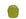 Dark Lime