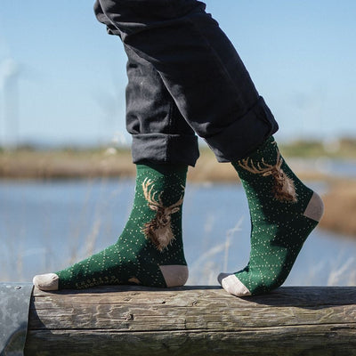 Portrait of a Stag Mens Bamboo Socks - Wrendale Designs