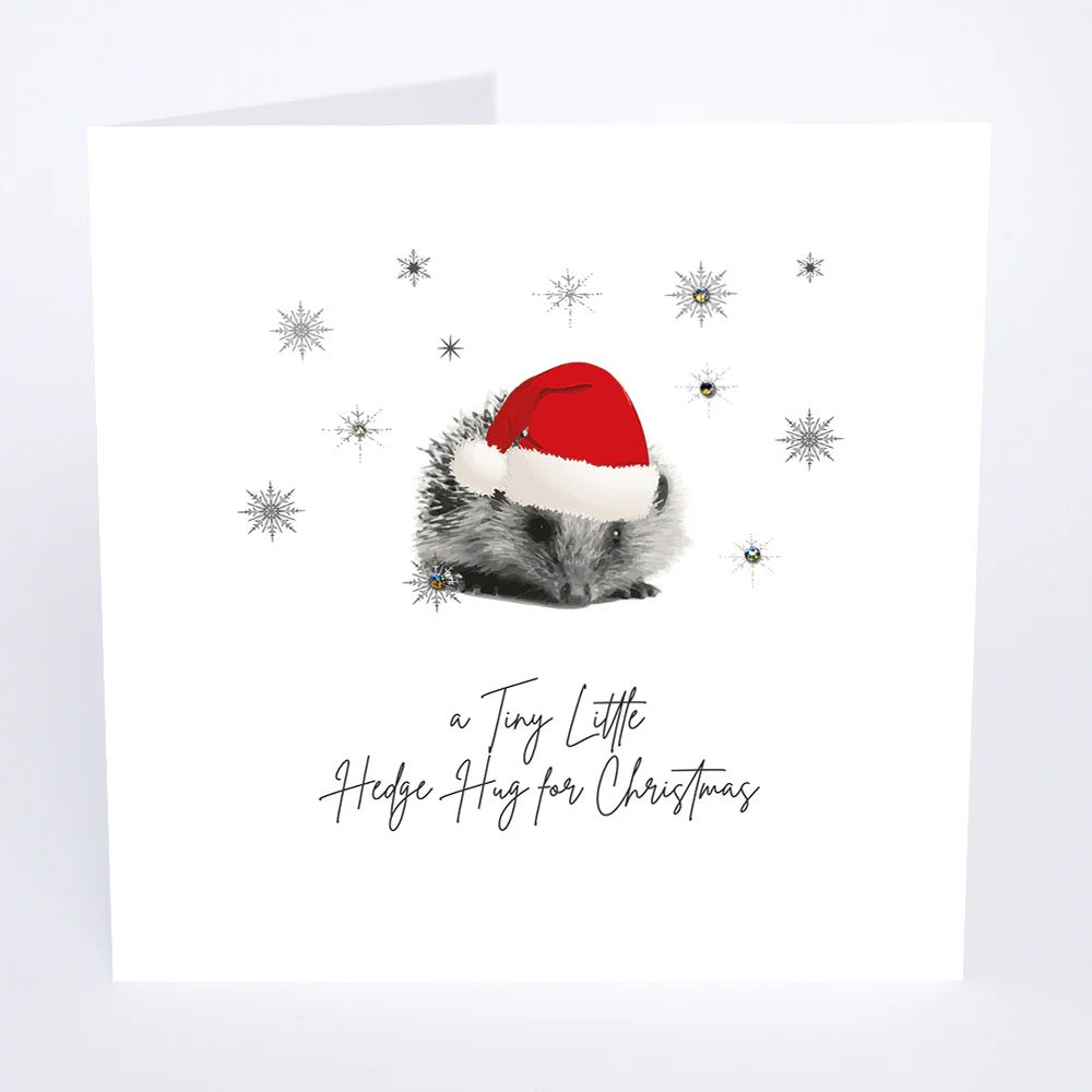 Five Dollar Shake - Tiny Hedgehug  SMALL Christmas Card