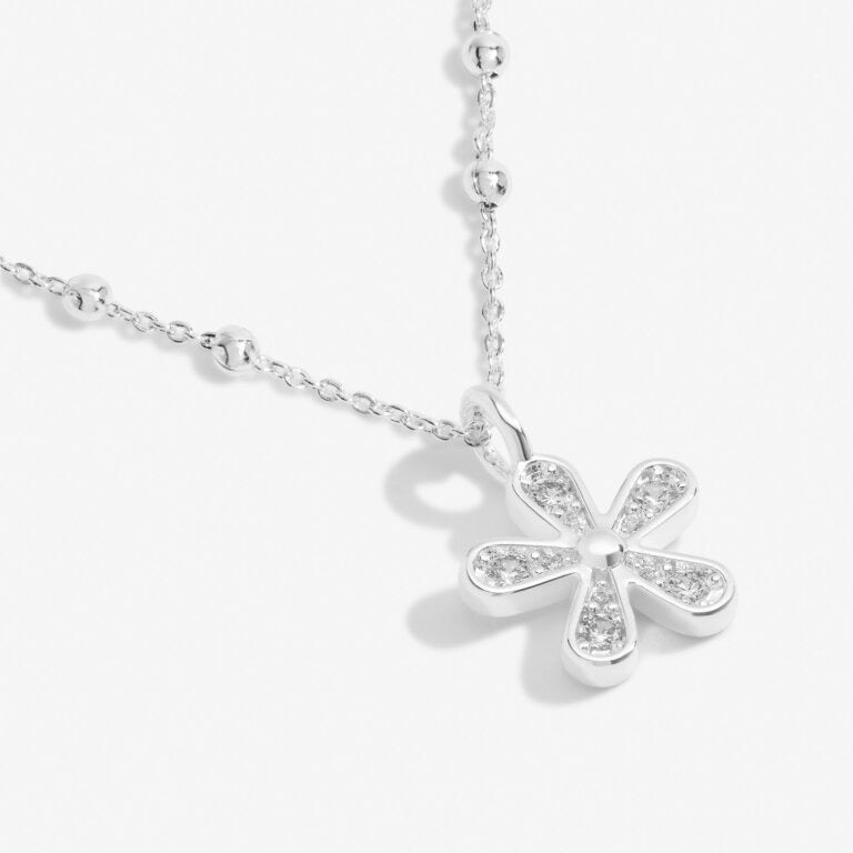 Joma Jewellery - 'A Little If Mums Were Flowers I'd Pick You' Necklace