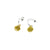 Silver/Gold