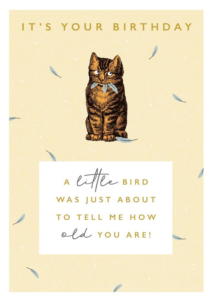 The Art File -  A Little Bird Cat Birthday Card