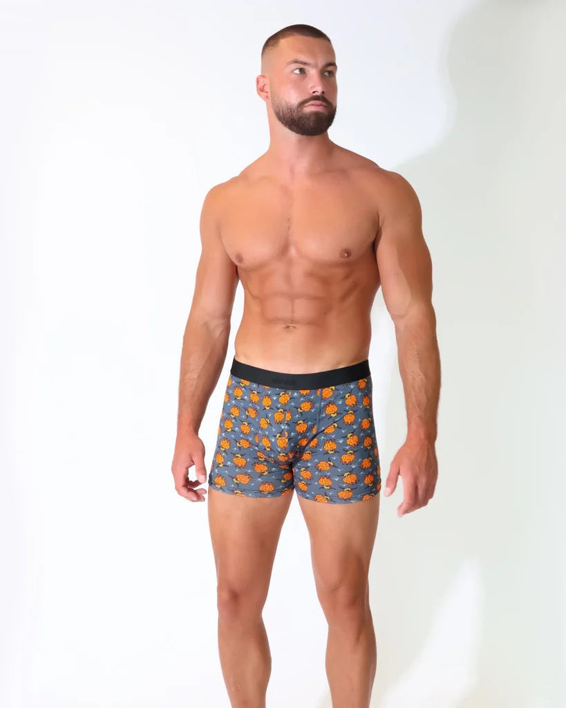 Eco Chic MENS Bamboo Boxers - Highland Cow - Slate Grey