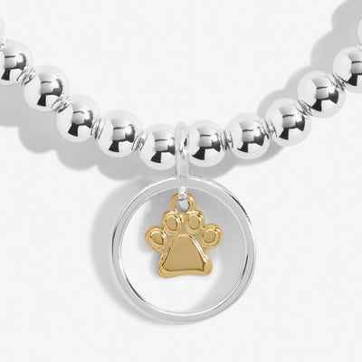 Joma Jewellery - Beautifully Boxed -  "Pets Leave Pawprints on our hearts" Bracelet