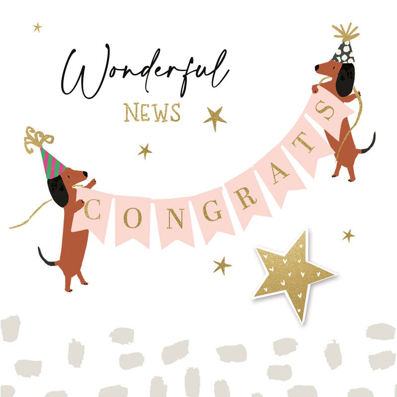 Wonderful News Congrats Sausage Dogs & Banner Card - Hammond Gower