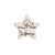 Star - Dream, Believe, Achieve