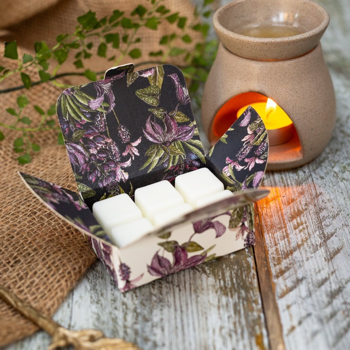 Toasted Crumpet - Wild Fig & Mulberry - Boxed Soy Wax Melts - The Mulberry Collection