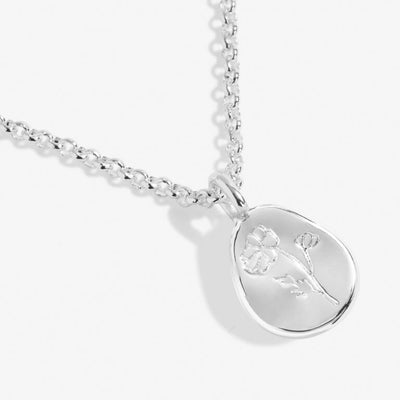 Joma Jewellery - 'A Little October Cosmos' Birthflower Necklace