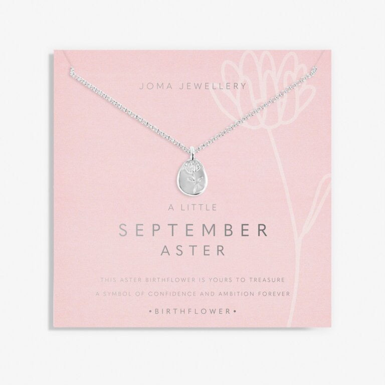 Joma Jewellery - 'A Little September Aster' Birthflower Necklace