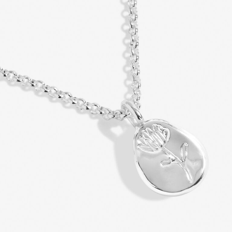 Joma Jewellery - 'A Little September Aster' Birthflower Necklace