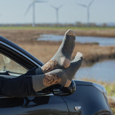 In my Footsteps - Bear Mens Bamboo Socks - Wrendale Designs