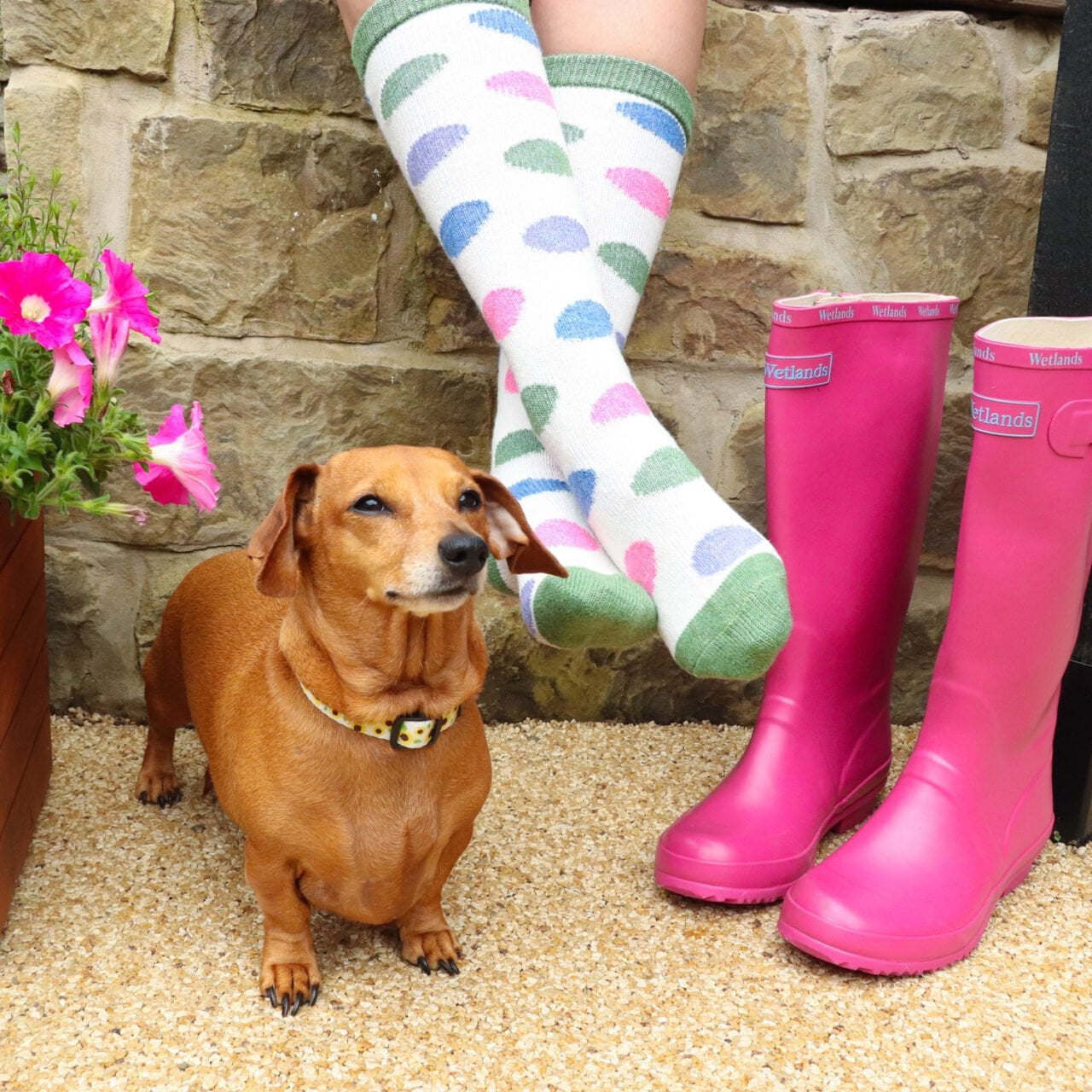 Zelly Chloe Spot Ladies Long Boot Socks - Green/Multi