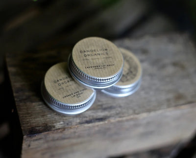 Dandelion Organics - Lip Balm - Unscented