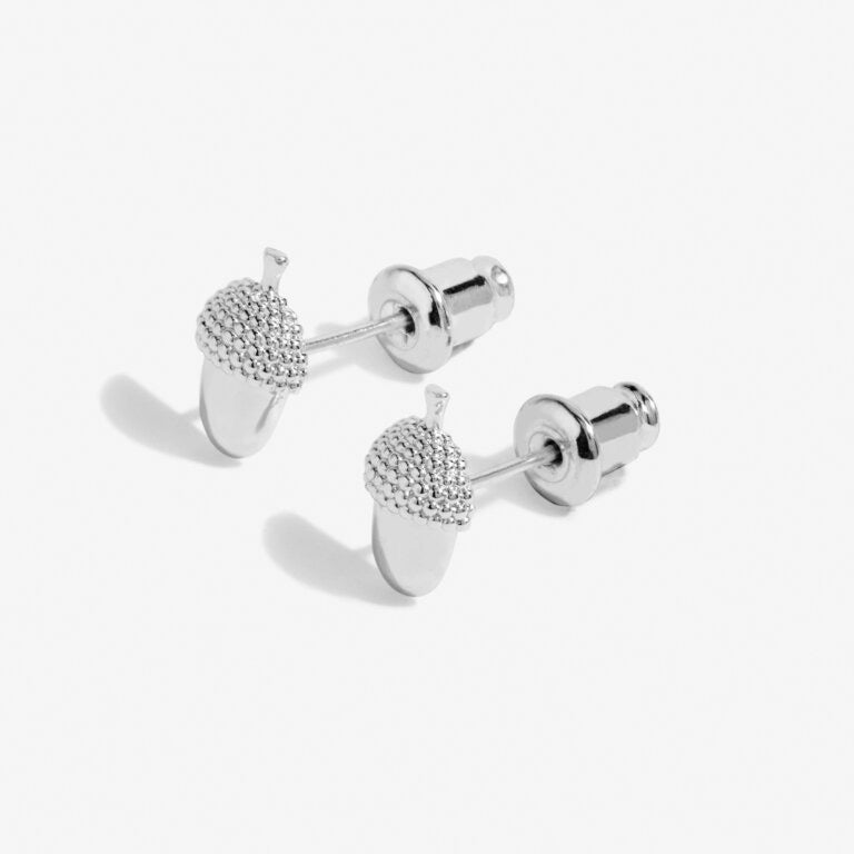 Joma Jewellery Beautifully Boxed 'Strength' Acorn Stud Earrings - Silver