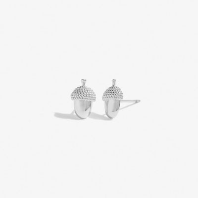 Joma Jewellery Beautifully Boxed 'Strength' Acorn Stud Earrings - Silver