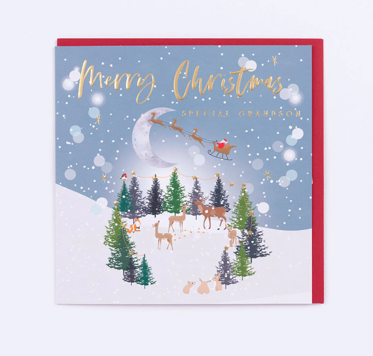 Belly Button Special Grandson Winter Wonderland Christmas Card