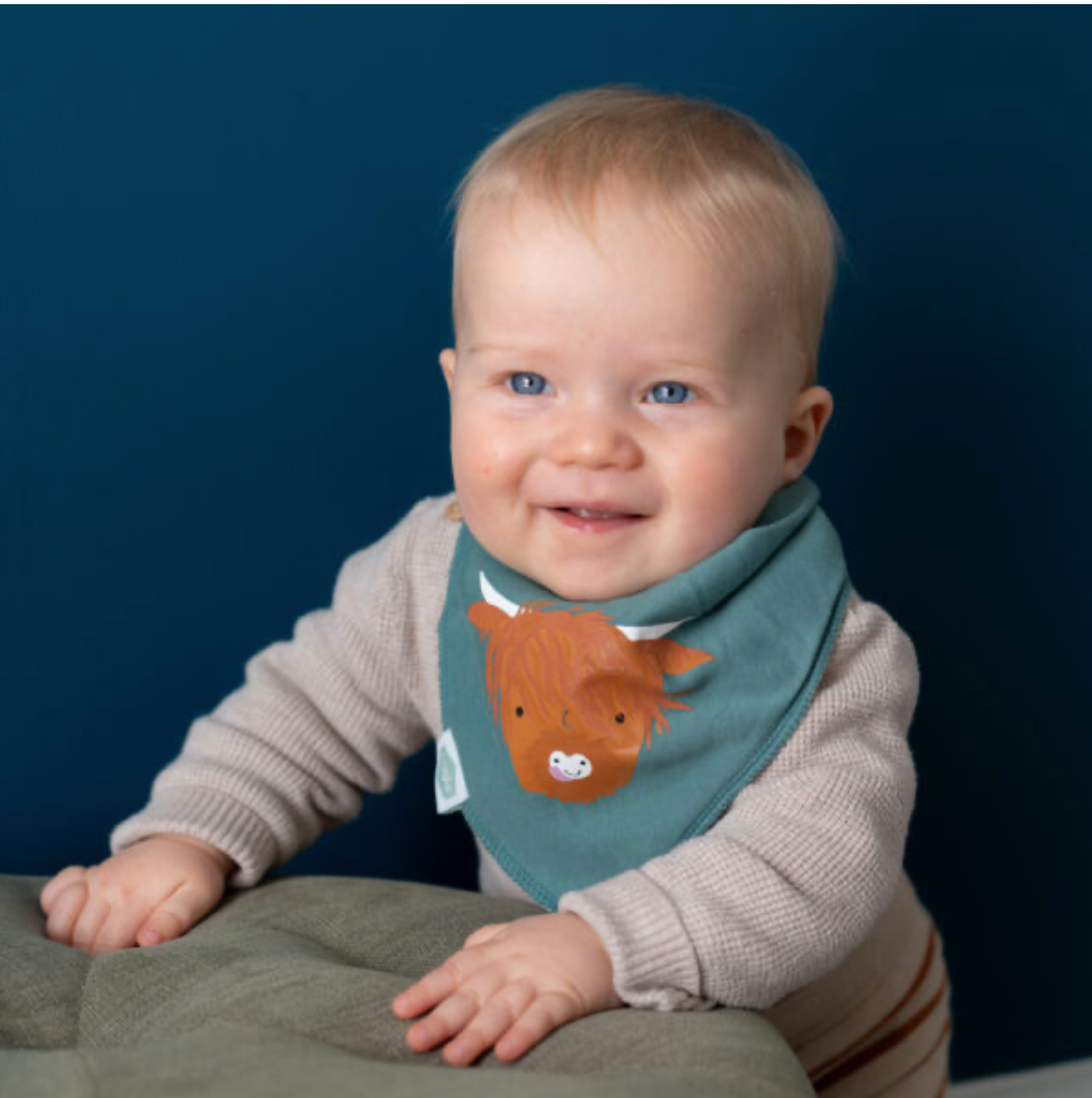 Ziggle Highland Cow Dribble Bib - Teal Green