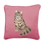 'Feline Fabulous' Cat Embroidered Cushion Pink - Wrendale Designs