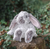 Rosie - Rabbit Small Plush 