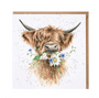'Daisy Coo' Highland Cow Blank Card - Wrendale Designs