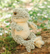 Elliott - Frog Small Plush 