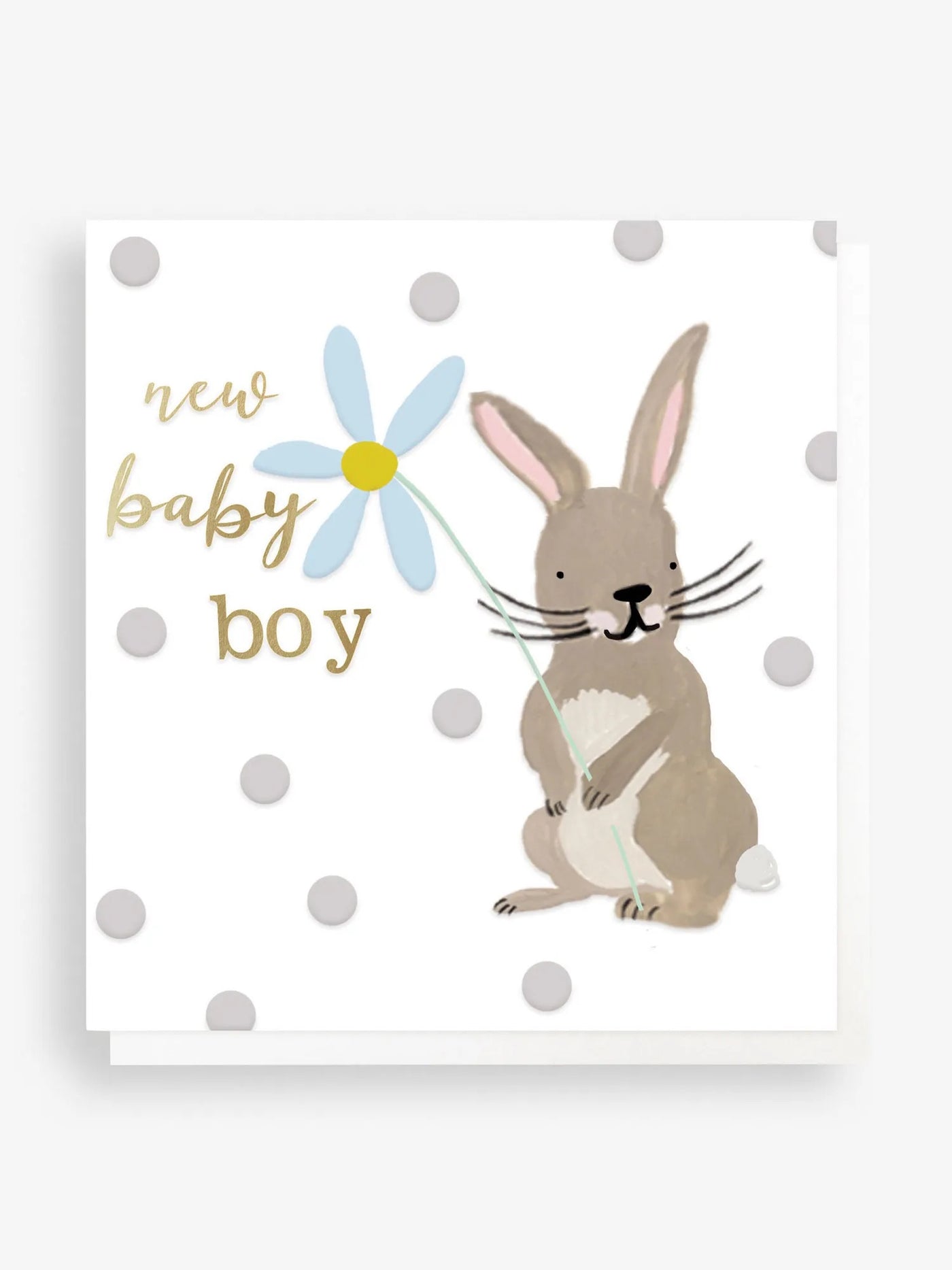 Caroline Gardner Baby Boy Rabbit Card