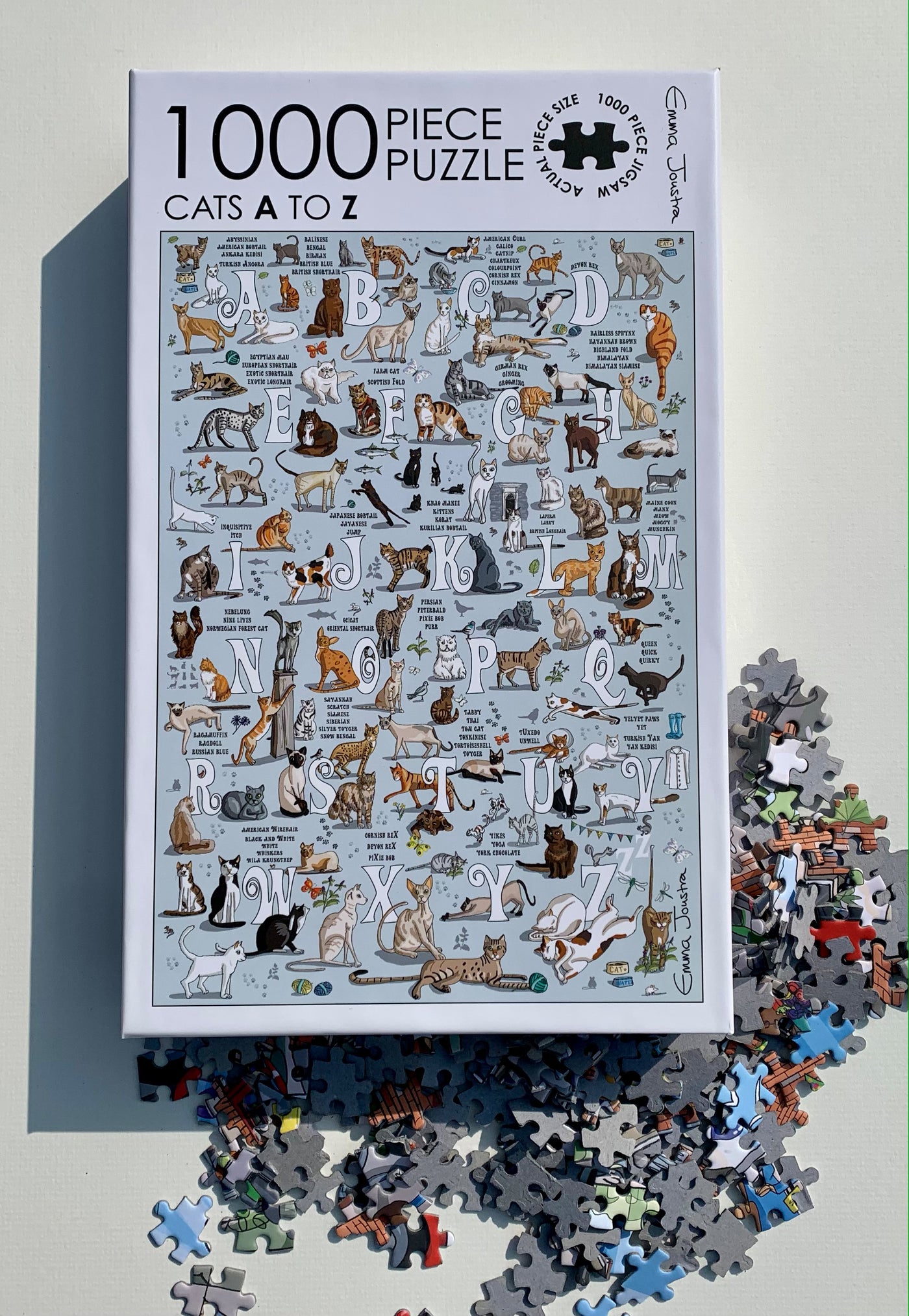 Emma Joustra 1000 piece Jigsaw Puzzle - Cats A-Z