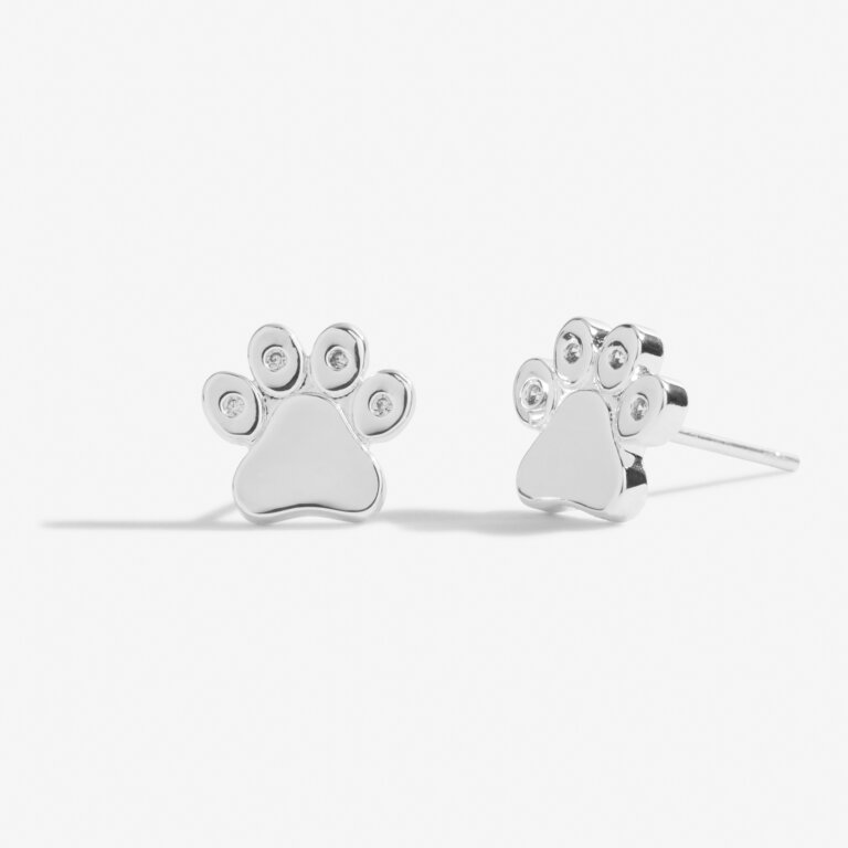 Joma Jewellery Beautifully Boxed 'Love Has Four Paws' Earrings - Silver
