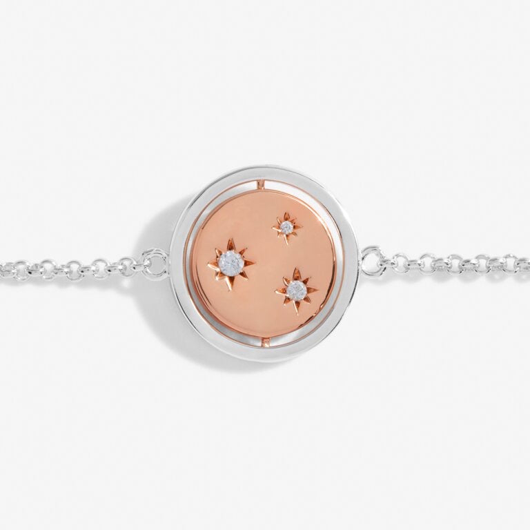 Joma Jewellery Sentiment Spinners - Family - Silver & Rose Gold Bracelet