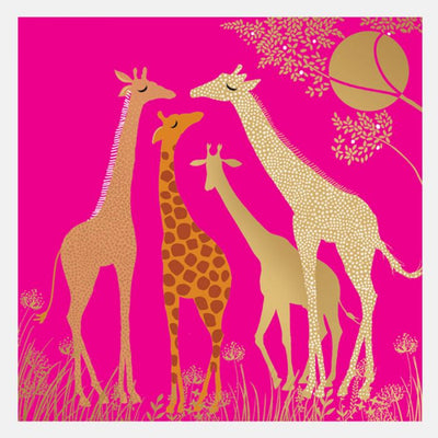 Sara Miller by The Art File -Giraffes Blank Card