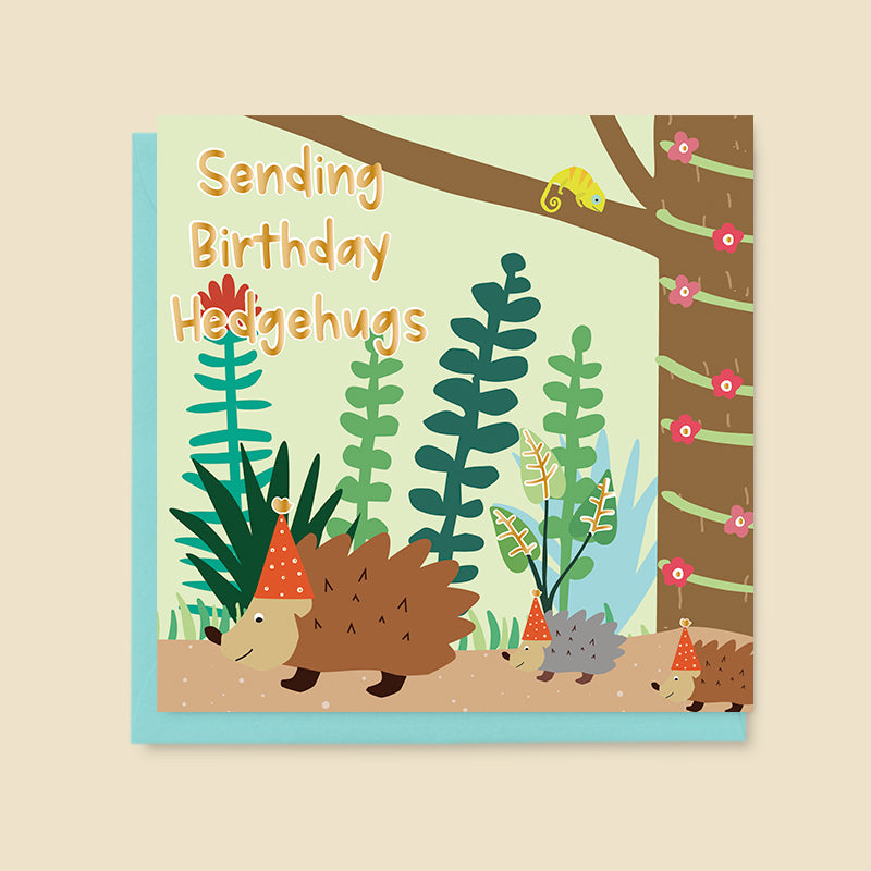 Dandelion Stationery - Sending Birthday Hedgehugs Blank Card