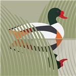 The Art File -Shelduck Bird Blank Card