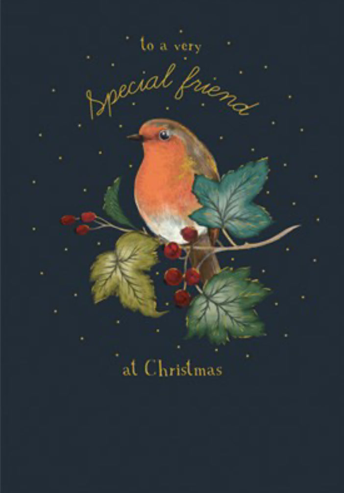 The Art File - Special Friend Robin Christmas Card