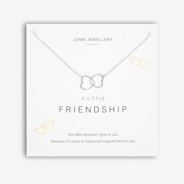 Joma Jewellery A Little Friendship Necklace