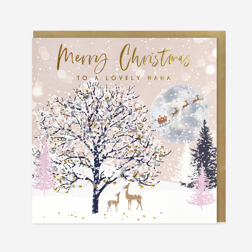 Belly Button Merry Christmas Lovely Nana Tree & Santa Sleigh Card