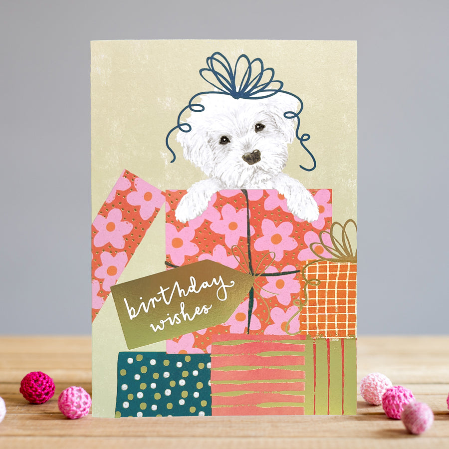Louise Tiler Birthday Box Puppy Card