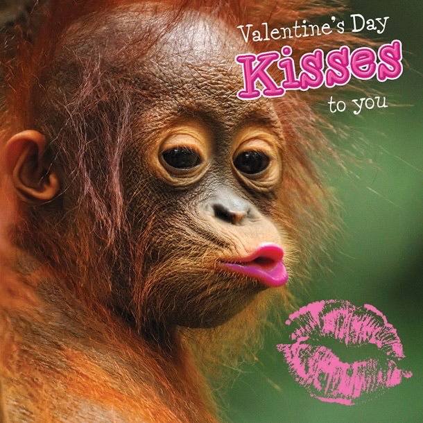 Tracks Valentines Kisses Monkey Card