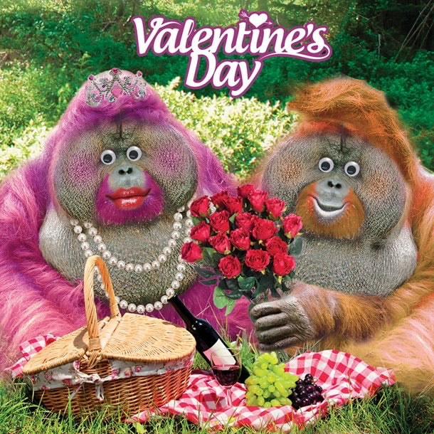 Tracks Gorilla Couple Googlies Valentines Card