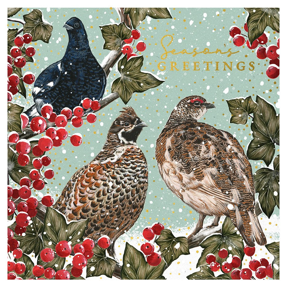 The Art File - Frosted River Painterly Grouse PACK of 8 Luxury Boxed Christmas Cards