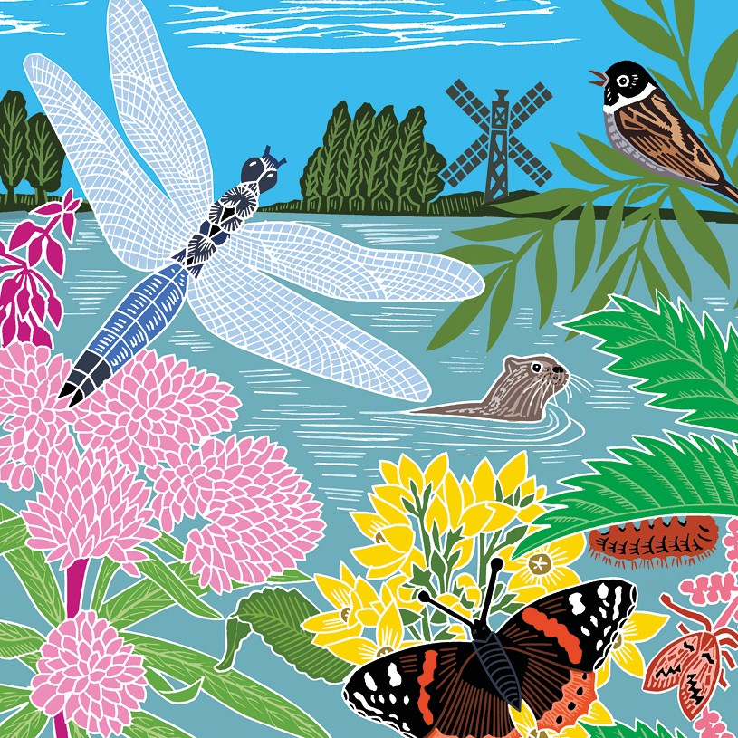 The Art File -Dragonfly - Nature Trail Collection by Kate Heiss Blank Card