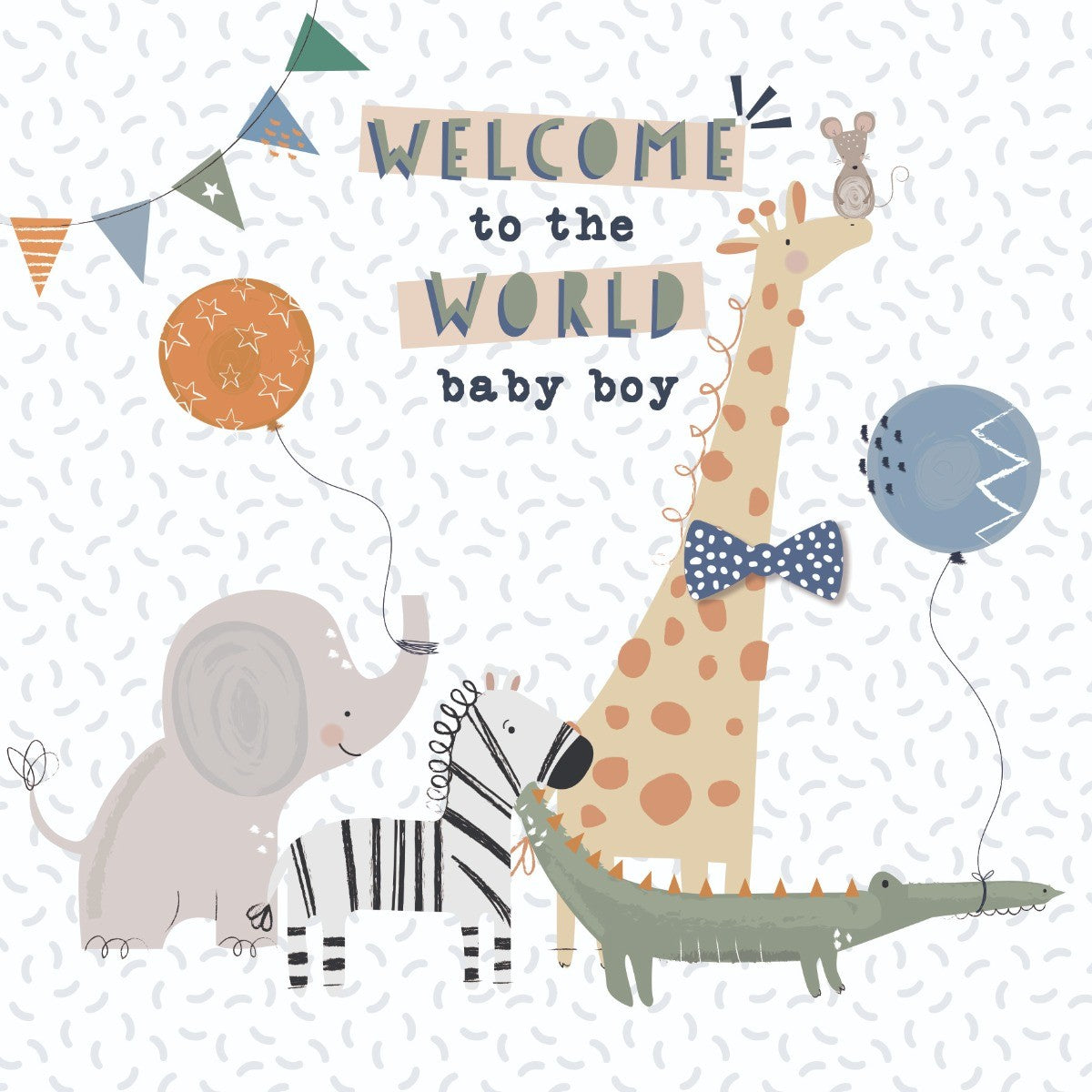 Cute Animal Baby Boy Birth Card